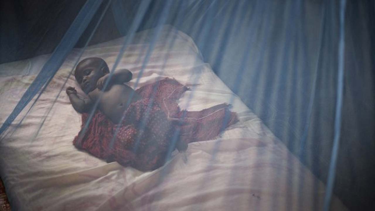 mosquito-net-1