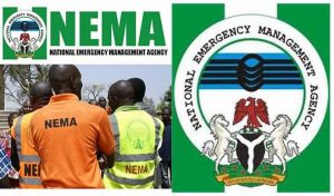 nema-