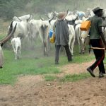 9b3c3da7-fulani-herdsmen-1