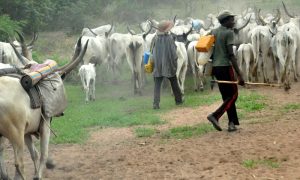 9b3c3da7-fulani-herdsmen-1