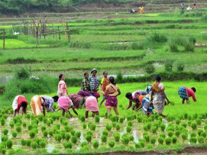 Belarus Republic to partner Benue on agric value chain
