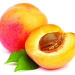 Fruit