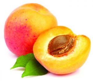 Fruit