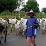 Fulani-herdsmen1