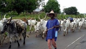 Fulani-herdsmen1