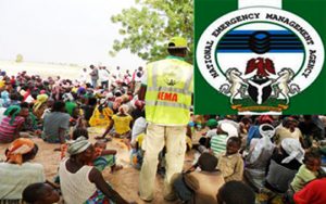 NEMA_-logo