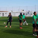 NFF-Employs-Two-Additional-Foreign-Coaches-for-Super-Falcons-min-1