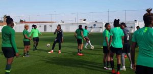 NFF-Employs-Two-Additional-Foreign-Coaches-for-Super-Falcons-min-1