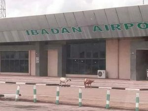 Remodelled-Ibadan-Airport (1)