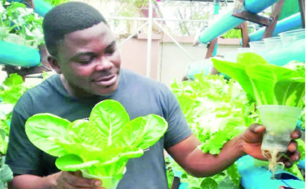 farming