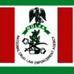 ndlea