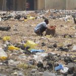 47 million Nigerians practise open defecation, risk epidemic – UNICEF expert