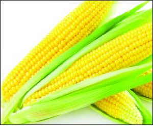 Corn