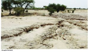 Drought