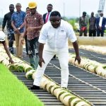 Bayelsa farmers take delivery of first batch of Ayade rice seedlings