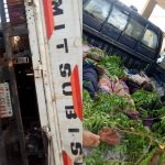 Six dead, 15 injured in Sokoto auto crash