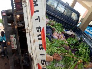 Six dead, 15 injured in Sokoto auto crash