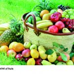 Fruit