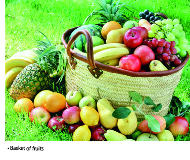 Fruit
