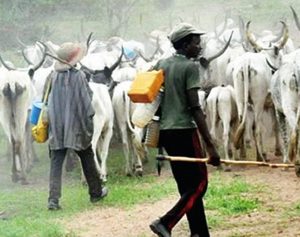 Fulani-herdsmen