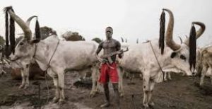 HERDSMEN