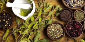 Herbalist-e1559488348227