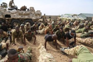 Soldiers “insufficient commitment” setback for counterinsurgency – Buratai