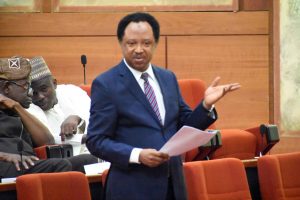 Shehu Sani to Buhari: S’East, S’South exclusion invitation to anarchy, secession