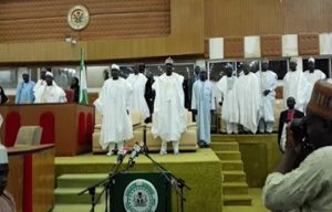 Sokoto-Assembly
