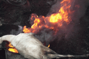Using-tyres-to-burn-meat