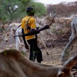 Ohanaeze Ndigbo reject Miyetti Allah plan to set up vigilantes in South-East 