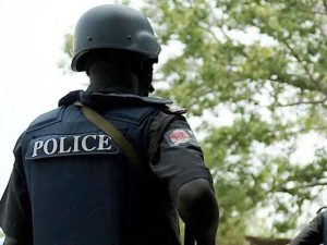 39 suspected arsonists arrested over attempts to burn Kano power station