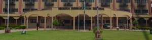 nis-building