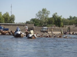 A-Lake-Chad-community