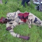 Soldiers kill 2 terrorists in Borno, recover weapons