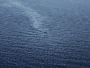 Scores drown in shipwreck off Libyan coast
