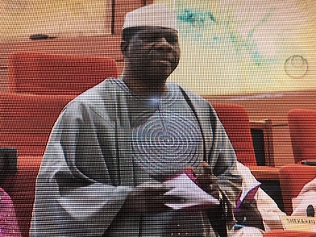 Senator Opeyemi Bamidele