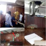 Ondo Assembly: Akeredolu orders probe into appearance of snake during plenary