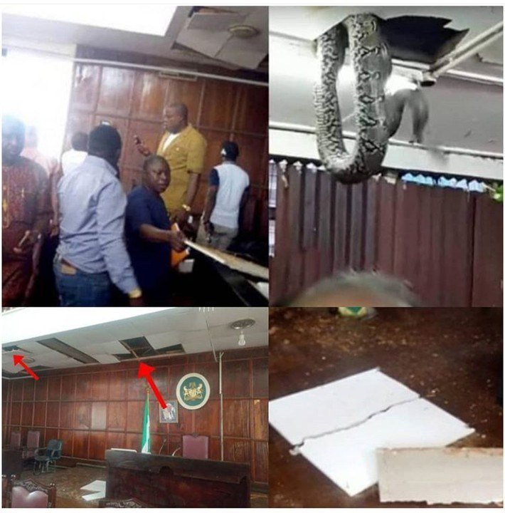 Ondo Assembly: Akeredolu orders probe into appearance of snake during plenary
