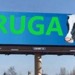 Ruga