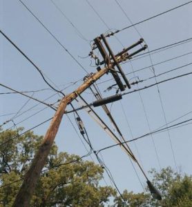 Tree-under-electricity