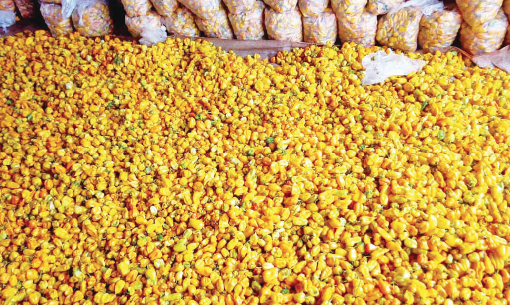 Yellow-Pepper