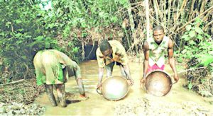 Zamfara