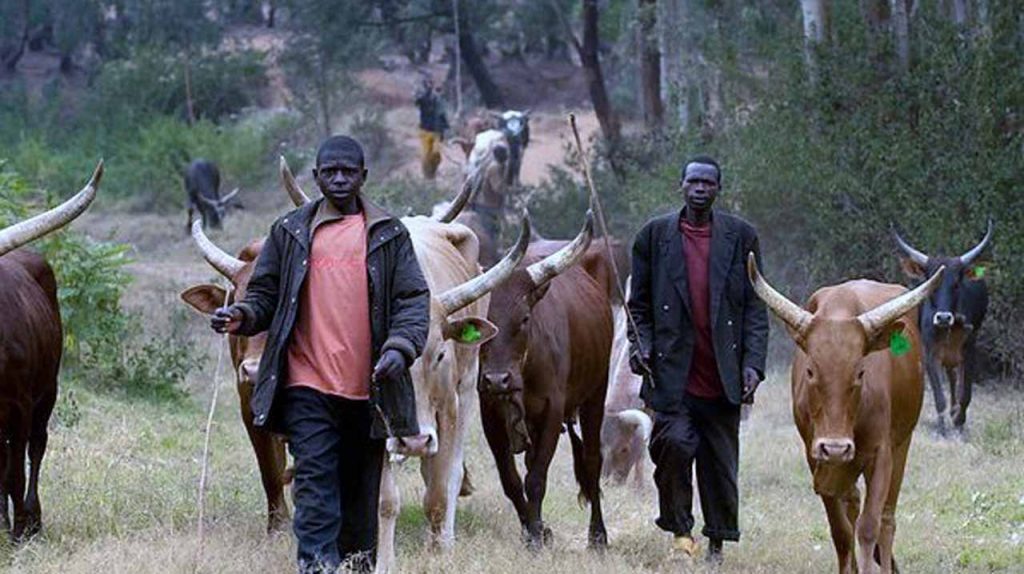 fulani