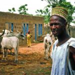 Northern Coalition, Elders Forum want Fulani herdsmen to leave South