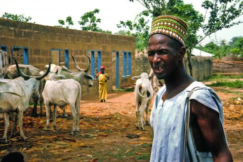 Northern Coalition, Elders Forum want Fulani herdsmen to leave South