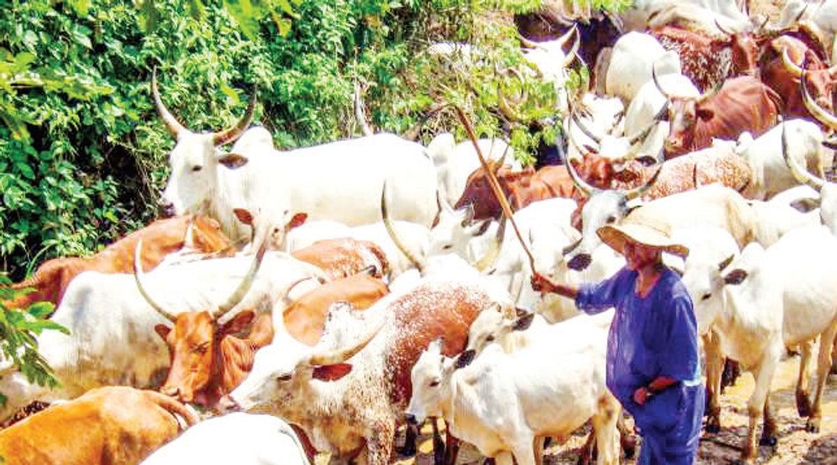 grazing-reserves-HERBMAN