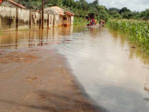 Traditional chief flees as flood hits Delta community