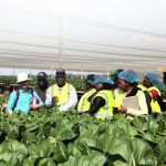 Agribusiness