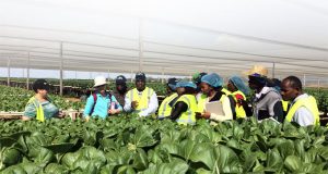 Agribusiness